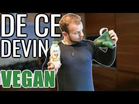 DE CE DEVIN VEGAN?! | Pregatiri