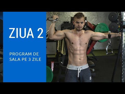Spate | Biceps | Trapez | Program de 3 Zile | Ziua 2