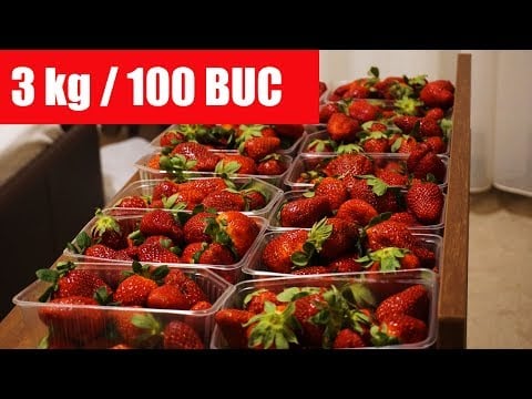 100 Capsuni | 3kg Challenge | 100k Abonati