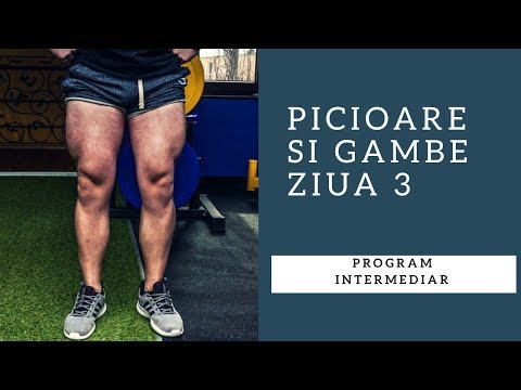 Program Intermediar | Picioare si Gambe | Ziua 3