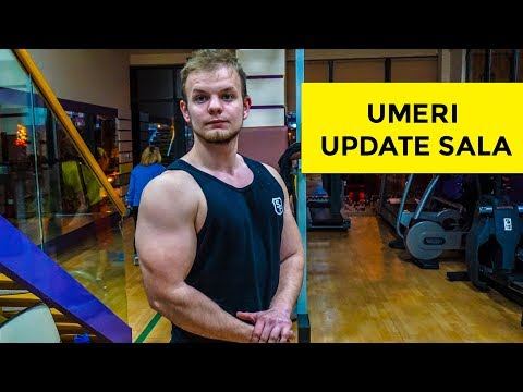 Update Sala | Antrenament Umeri