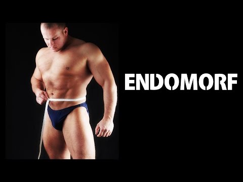 Endomorf | Tipuri Somatice #3