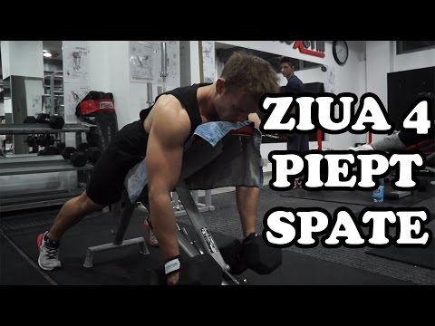 Piept | Spate | Ziua 4 | Program incepatori