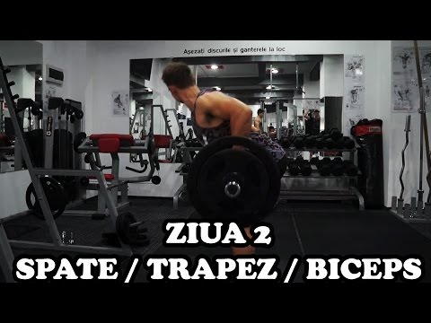 Spate | Trapez | Biceps | Ziua 2 | Program incepatori