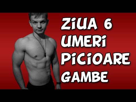Umeri – Picioare – Gambe | Acasa | Ziua 6
