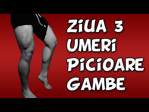 Umeri – Picioare – Gambe | Acasa | Ziua 3
