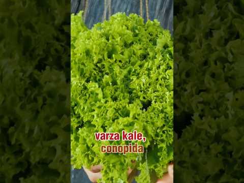 Obligatoriu trebuie să consumi aceste legume! #shorts