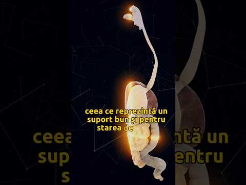 Alimentele fermentate și citricele îți redau buna dispoziție