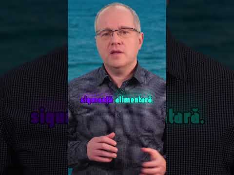 Cum alegi corect o CONSERVĂ DE PEȘTE