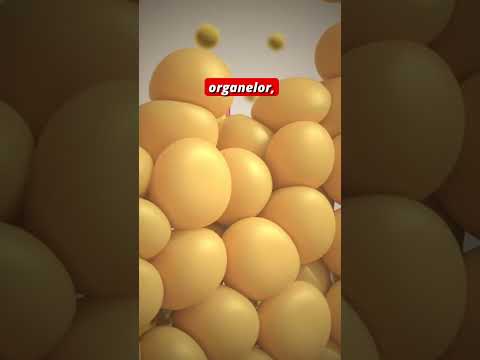 5 Lucruri Surprinzatoare despre Colesterol