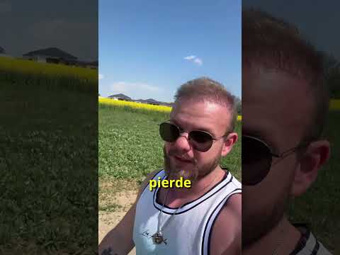 Nu Slabi Prea Repede!